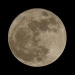 Mond 3 vom 19.03.2011 (braun)