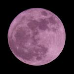 Mond 6 vom 19.03.2011 (pink)