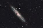 NGC253 Sculptor- Galaxy