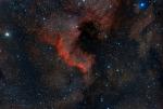 NGC7000_770