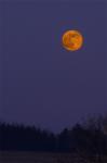 Roter Vollmond