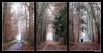 Herbstspaziergangs-Triptychon