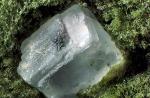 Salzkristall, eingebettet in Setzmoos, Steckmoos