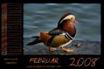 Kalender 2008 - Februar by webcruiser