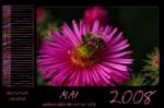 Kalender 2008 - Mai by webcruiser