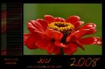 Kalender 2008 - Juli by webcruiser