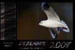 Kalender 2008 - Dezember by webcruiser